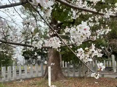 七所神社(愛知県)