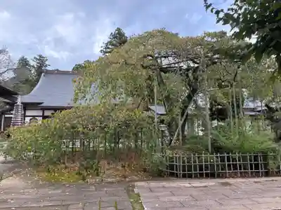 無量壽院(千葉県)