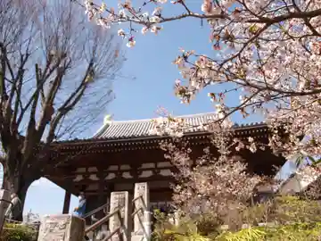 石上寺の本殿・本堂