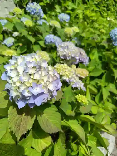 厚別神社の自然