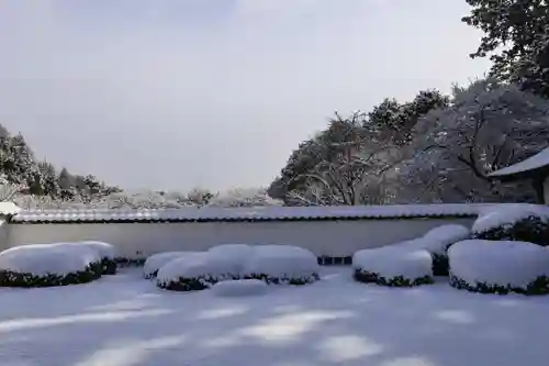 正伝護国禅寺(正伝寺･正傳寺)(京都府)