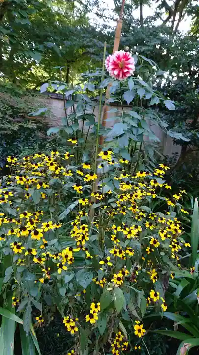 上野東照宮の自然