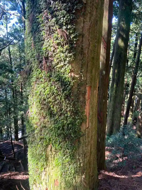 玉置神社(奈良県)