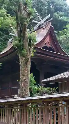 大隅神社(岡山県)