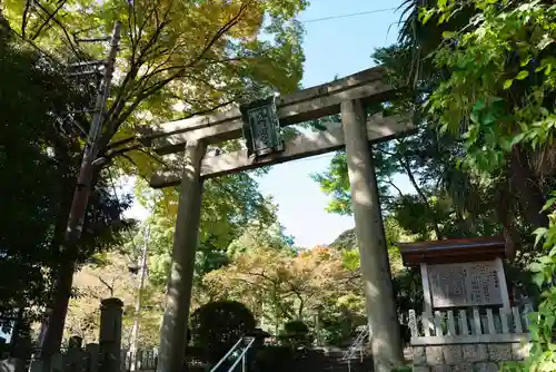 金崎宮の鳥居