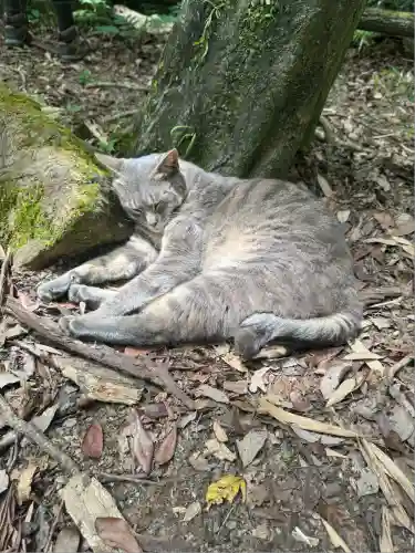 玉野御嶽神社(愛知県)