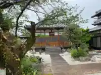 長楽寺の{uncategorized: "未分類", other: "その他", undefined: "問題あり", building: "その他建物", grave: "お墓", sacred_gate: "鳥居", guardian: "狛犬", statue: "像", buddha: "仏像", history: "歴史", nature: "自然", garden: "庭園", animal: "動物", pagoda: "塔", temizu: "手水舎", mountain_gate: "山門・神門", sanctuary: "本殿・本堂", subordinate: "末社・摂社", art: "芸術", scenery: "景色", jizo: "地蔵", ema: "絵馬", goshuin: "御朱印", omikuji: "おみくじ", items: "授与品その他", amulet: "お守り", goshuincho: "御朱印帳", eats: "食事", festival: "お祭り", votive_dance: "神楽", shichigosan: "七五三参", wedding: "結婚式", experience: "体験その他", initially: "初詣", around: "周辺", anti_infection: "感染症対策"}