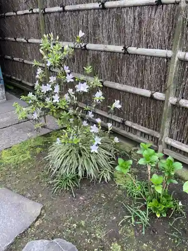 補陀洛寺(神奈川県)