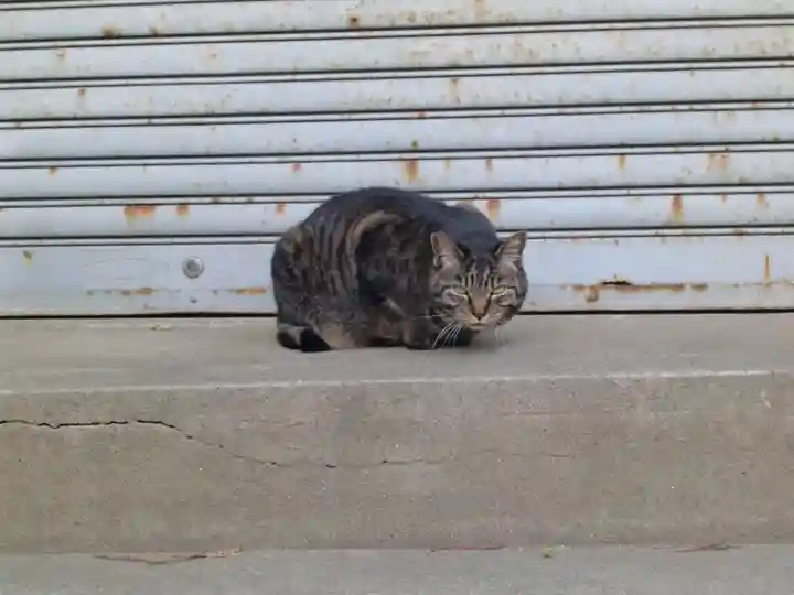 香取神社の動物