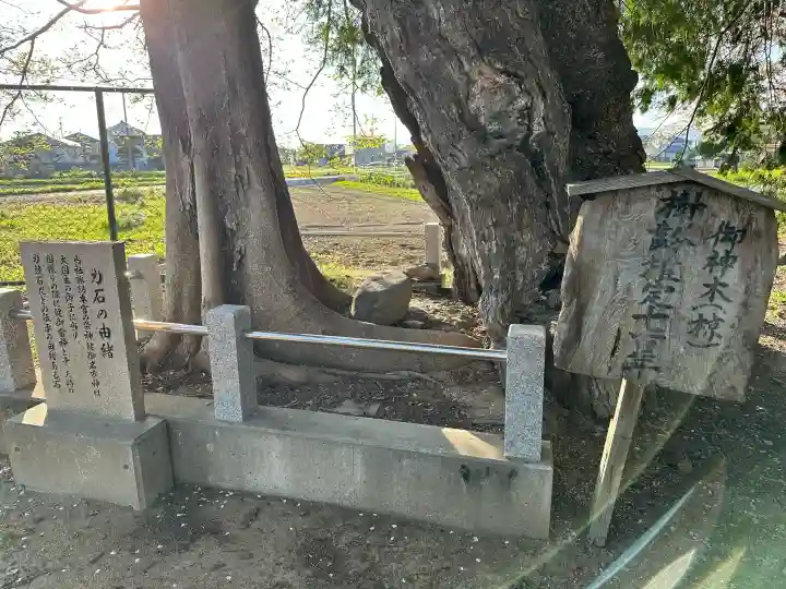 多祁御奈刀弥神社の{uncategorized: "未分類", other: "その他", undefined: "問題あり", building: "その他建物", grave: "お墓", sacred_gate: "鳥居", guardian: "狛犬", statue: "像", buddha: "仏像", history: "歴史", nature: "自然", garden: "庭園", animal: "動物", pagoda: "塔", temizu: "手水舎", mountain_gate: "山門・神門", sanctuary: "本殿・本堂", subordinate: "末社・摂社", art: "芸術", scenery: "景色", jizo: "地蔵", ema: "絵馬", goshuin: "御朱印", omikuji: "おみくじ", items: "授与品その他", amulet: "お守り", goshuincho: "御朱印帳", eats: "食事", festival: "お祭り", votive_dance: "神楽", shichigosan: "七五三参", wedding: "結婚式", experience: "体験その他", initially: "初詣", around: "周辺", anti_infection: "感染症対策"}
