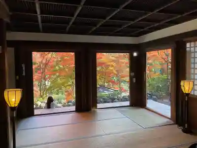 愛宕念仏寺(京都府)