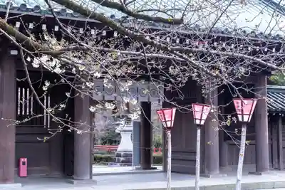 三嶋大社(静岡県)