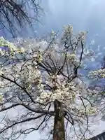 厚別神社(北海道)