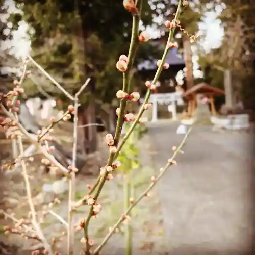 高司神社〜むすびの神の鎮まる社〜の自然