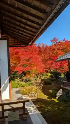 源光庵(京都府)