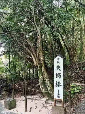 八重垣神社の{uncategorized: "未分類", other: "その他", undefined: "問題あり", building: "その他建物", grave: "お墓", sacred_gate: "鳥居", guardian: "狛犬", statue: "像", buddha: "仏像", history: "歴史", nature: "自然", garden: "庭園", animal: "動物", pagoda: "塔", temizu: "手水舎", mountain_gate: "山門・神門", sanctuary: "本殿・本堂", subordinate: "末社・摂社", art: "芸術", scenery: "景色", jizo: "地蔵", ema: "絵馬", goshuin: "御朱印", omikuji: "おみくじ", items: "授与品その他", amulet: "お守り", goshuincho: "御朱印帳", eats: "食事", festival: "お祭り", votive_dance: "神楽", shichigosan: "七五三参", wedding: "結婚式", experience: "体験その他", initially: "初詣", around: "周辺", anti_infection: "感染症対策"}