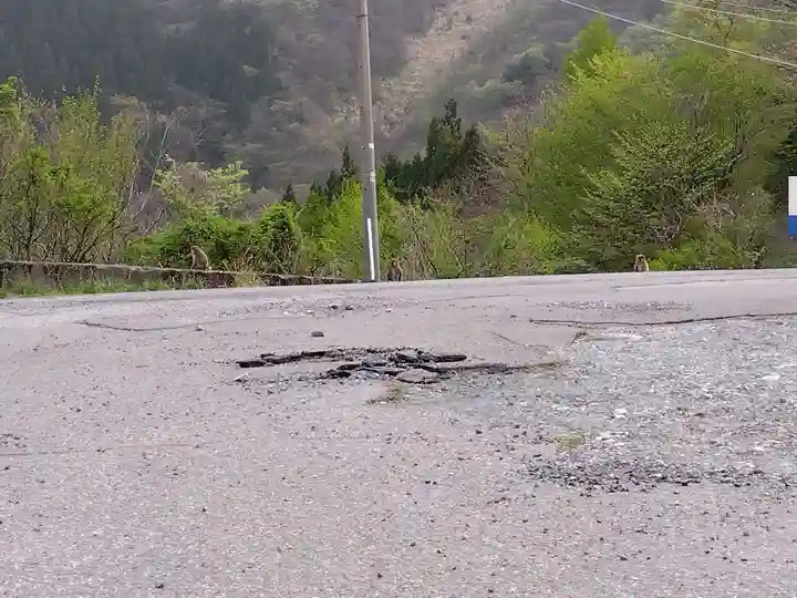 八幡神社(福井県)