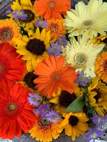 彌都加伎神社の手水舎