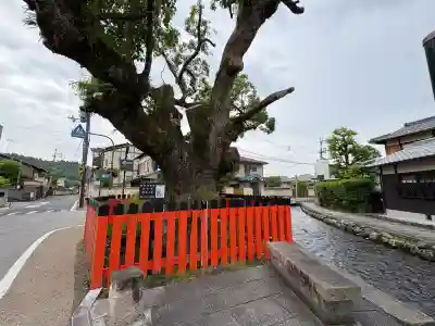 藤木社（賀茂別雷神社末社）の{uncategorized: "未分類", other: "その他", undefined: "問題あり", building: "その他建物", grave: "お墓", sacred_gate: "鳥居", guardian: "狛犬", statue: "像", buddha: "仏像", history: "歴史", nature: "自然", garden: "庭園", animal: "動物", pagoda: "塔", temizu: "手水舎", mountain_gate: "山門・神門", sanctuary: "本殿・本堂", subordinate: "末社・摂社", art: "芸術", scenery: "景色", jizo: "地蔵", ema: "絵馬", goshuin: "御朱印", omikuji: "おみくじ", items: "授与品その他", amulet: "お守り", goshuincho: "御朱印帳", eats: "食事", festival: "お祭り", votive_dance: "神楽", shichigosan: "七五三参", wedding: "結婚式", experience: "体験その他", initially: "初詣", around: "周辺", anti_infection: "感染症対策"}