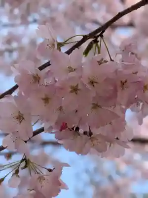 神明氷川神社(東京都)