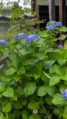 法然寺(奈良県)