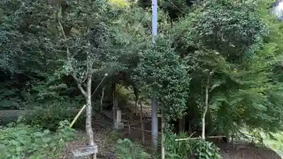 長谷寺(神奈川県)