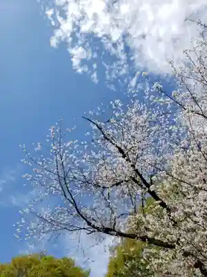 月窓寺(東京都)