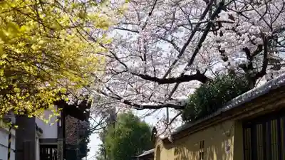新薬師寺のその他建物