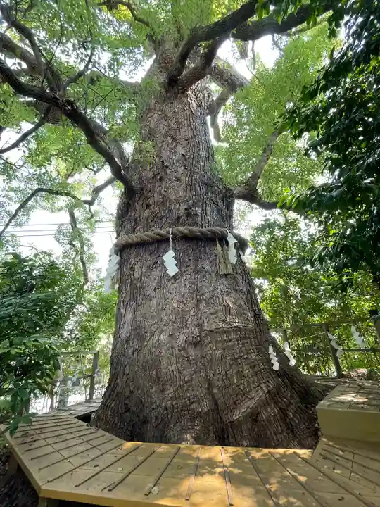 新熊野神社(京都府)