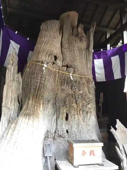 石神神社の自然