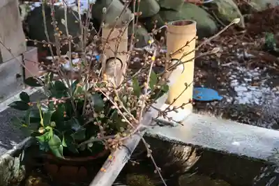 高司神社〜むすびの神の鎮まる社〜の手水舎