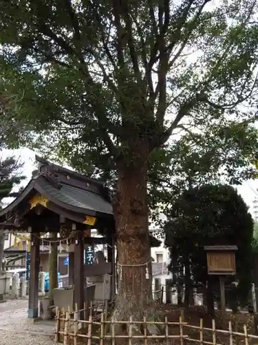 八王子神社の自然