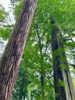 笠森寺(千葉県)