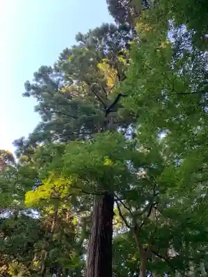 麻賀多神社(千葉県)