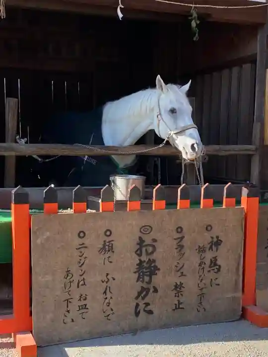 賀茂別雷神社(上賀茂神社)の{uncategorized: "未分類", other: "その他", undefined: "問題あり", building: "その他建物", grave: "お墓", sacred_gate: "鳥居", guardian: "狛犬", statue: "像", buddha: "仏像", history: "歴史", nature: "自然", garden: "庭園", animal: "動物", pagoda: "塔", temizu: "手水舎", mountain_gate: "山門・神門", sanctuary: "本殿・本堂", subordinate: "末社・摂社", art: "芸術", scenery: "景色", jizo: "地蔵", ema: "絵馬", goshuin: "御朱印", omikuji: "おみくじ", items: "授与品その他", amulet: "お守り", goshuincho: "御朱印帳", eats: "食事", festival: "お祭り", votive_dance: "神楽", shichigosan: "七五三参", wedding: "結婚式", experience: "体験その他", initially: "初詣", around: "周辺", anti_infection: "感染症対策"}