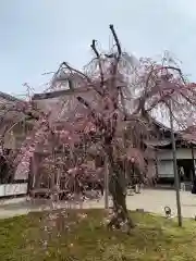 醍醐寺(京都府)