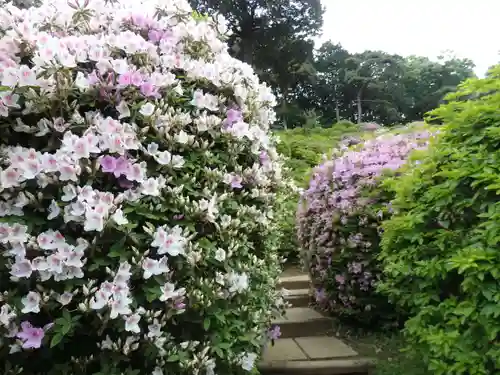 塩船観音寺の自然