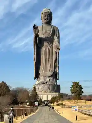 東本願寺本廟 牛久浄苑（牛久大仏）の{uncategorized: "未分類", other: "その他", undefined: "問題あり", building: "その他建物", grave: "お墓", sacred_gate: "鳥居", guardian: "狛犬", statue: "像", buddha: "仏像", history: "歴史", nature: "自然", garden: "庭園", animal: "動物", pagoda: "塔", temizu: "手水舎", mountain_gate: "山門・神門", sanctuary: "本殿・本堂", subordinate: "末社・摂社", art: "芸術", scenery: "景色", jizo: "地蔵", ema: "絵馬", goshuin: "御朱印", omikuji: "おみくじ", items: "授与品その他", amulet: "お守り", goshuincho: "御朱印帳", eats: "食事", festival: "お祭り", votive_dance: "神楽", shichigosan: "七五三参", wedding: "結婚式", experience: "体験その他", initially: "初詣", around: "周辺", anti_infection: "感染症対策"}