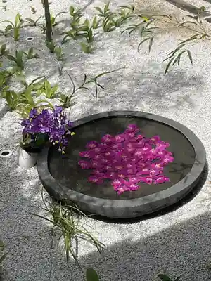 西来院(京都府)