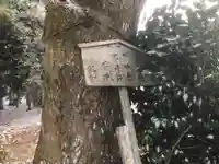 弓削神社の自然