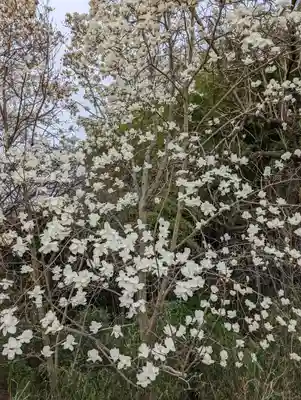 正法寺(京都府)