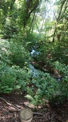 明治神宮の自然