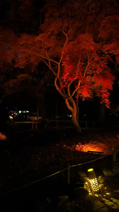 賀茂御祖神社(下鴨神社)(京都府)