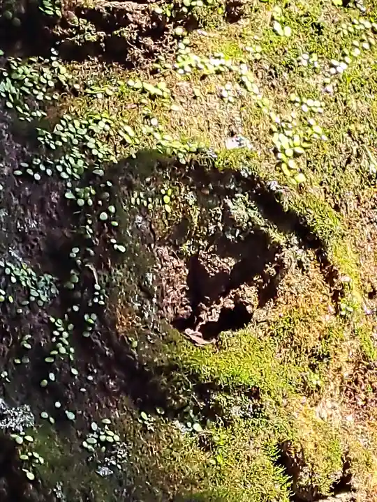 洲原神社(岐阜県)