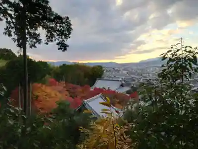 圓光寺(京都府)