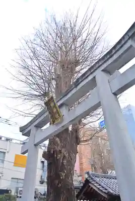 柏神社(千葉県)