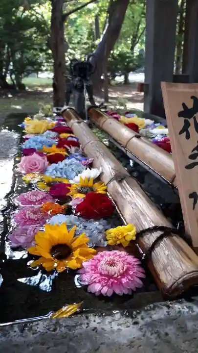 札幌護國神社の手水舎