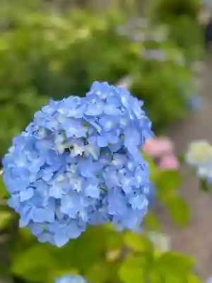 極楽寺(静岡県)