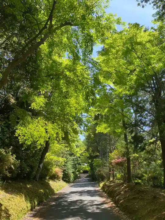 曼殊院門跡(京都府)