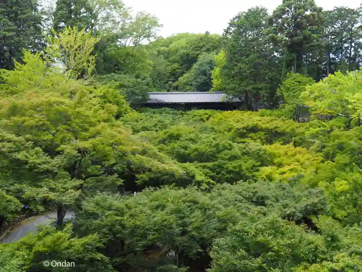 東福禅寺(東福寺)(京都府)